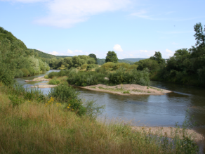 Der Main nördlich von Bamberg mit einer renaturierten Insel