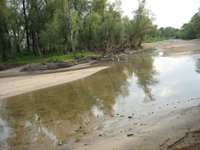 Eine Aue an der Donau, an der Sand vorherrscht