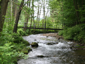 Eine kleine Brücke führt über den weißen Regen