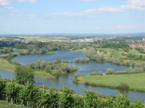 Blick von Oben auf den Main und seine Auen