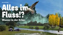 Flusslandschaft mit einer fliegenden Möwe. Darüber der Text 'Ausstellung: Alles im Fluss!? Wasser in der Krise'.