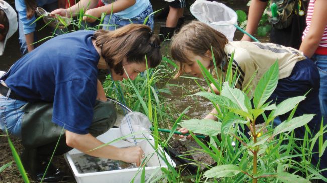 Zwei Personen bestimmen am Ufer eines kleinen Bachs hockend Gewässerorganismen in einer Schale. Im Hintergrund Kinder mit Keschern, die im Gewässer watend weitere Tiere sammeln.