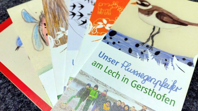 Mehrere selbstgestaltete Flyer von Naturpatenschaften des Umweltbildungszentrums Augsburg. Der oberste Flyer trägt den Titel "Unser Flussregenpfeifer am Lech in Gersthofen" und zeigt ein gemaltes Bild eines Vogels im Wasser sowie ein Gruppenbild der Schulklasse.