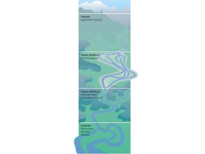 Schemazeichnung eines Flusses vom Oberlauf bis zum Unterlauf.