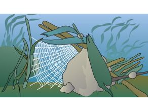 Zeichnung eines Netzes einer filtrierenden Köcherfliegenlarve.