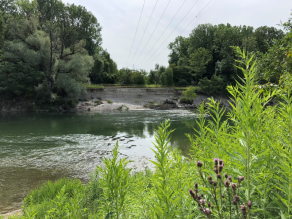 Abschnitt der Mittleren Isar (Flusskilometer 118,5), in dem die Uferbefestigung entfernt wurde und frische Uferanbrüche sowie ein Schutzzaun am gewässerbegleitenden Uferweg zu sehen sind.
