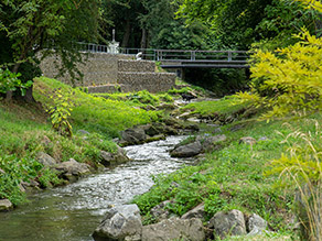 Ein leicht geschwungener Bach mit abgeflachten Ufern. Im Hintergrund ein Hund im Bach und eine Fußgängerbrücke.