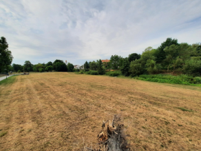 Eine große Wiese mit kurzem, bräunlichem Gras wird begrenzt durch einen Geh- und Radweg. Im Hintergrund ist der Verlauf eines Fließgewässers zu erahnen.