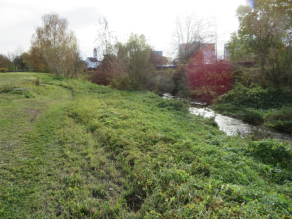 Ein Bach mit grasbewachsenem Ufer und angrenzender Wiesenfläche.
