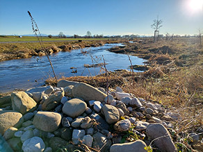 Ein Steinhaufen mit Kieseln befindet sich am Ufer eines Baches. Der Bach verläuft leicht geschwungen und mit hoher Breitenvarianz. Die Ufer sind mit Altgras bewachsen. Im Hintergrund Gehölzpflanzungen. Ein Steinhaufen mit Kieseln befindet sich am Ufer eines Baches. Der Bach verläuft leicht geschwungen und mit hoher Breitenvarianz. Die Ufer sind mit Altgras bewachsen. Im Hintergrund Gehölzpflanzungen.