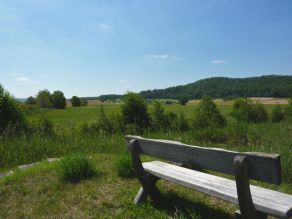 Eine Holzbank steht am Ufer eines Gewässers, das mit Schilf eingewachsen ist. Im Hintergrund eine Landschaft mit Wiesen und einem bewaldeten Hügel.