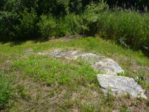 Eine kleine Natursteintreppe führt eine Böschung hinter zu einem Gewässer, das im dichten Schilfbewuchs zu erahnen ist. Dahinter dichtes Gebüsch.