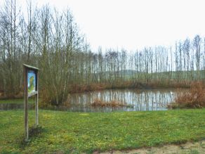 Ein Teich mit flachen Ufern und einem Infoschild.