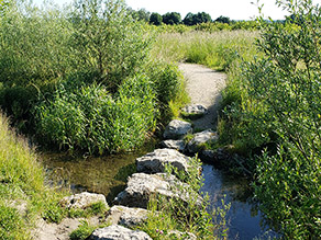 Trittsteine führen über einen kleinen Bach. Ein Weg verläuft im Hintergrund weiter durch eine Wiese. Weidengebüsch prägt die Bachufer. Trittsteine führen über einen kleinen Bach. Ein Weg verläuft im Hintergrund weiter durch eine Wiese. Weidengebüsch prägt die Bachufer.