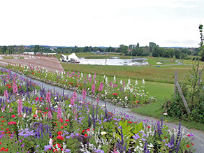 Blick über die neugestaltete Wilhelminenaue mit blühenden Blumenbeeten im Vordergrund. Dahinter eine Aussichtsplattform und ein großer Landschaftssee mit Veranstaltungsbühne sowie ausgedehnten Wiesen- und Freizeitflächen. Blick über die neugestaltete Wilhelminenaue mit blühenden Blumenbeeten im Vordergrund. Dahinter eine Aussichtsplattform und ein großer Landschaftssee mit Veranstaltungsbühne sowie ausgedehnten Wiesen- und Freizeitflächen.