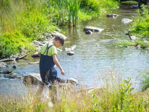 Ein Kind geht mit einer Wathose durch die renaturierte Selb bei einem Erlebnistag im Rahmen der Bayerisch-Tschechische Freundschaftswochen im Juni 2023. Ein Kind geht mit einer Wathose durch die renaturierte Selb bei einem Erlebnistag im Rahmen der Bayerisch-Tschechische Freundschaftswochen im Juni 2023.