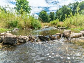 Das klare Wasser der renaturierten Selb in Selb fließ über eine kleine Schwelle. Die Ufer sind flach und von niedrigem Bewuchs und großen Kieseln gesäumt. Das klare Wasser der renaturierten Selb in Selb fließ über eine kleine Schwelle. Die Ufer sind flach und von niedrigem Bewuchs und großen Kieseln gesäumt.