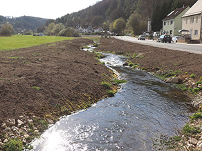 Der neue geschwungene Bachlauf weist flache Ufer sind noch unbewachsen. Links vom Bach schließt sich Grünland an. Rechts vom Bach eine Straße mit anschließender Häuserreihe.