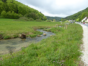 Der neue geschwungene Bachlauf weist Strukturelemente wie Felsen und Wurzelstöcke auf. Die abgeflachten Ufer sind mit Gras bewachsen. Mehrere Bäume wurden am Ufer gepflanzt. Links vom Bach schließt sich Grünland an. Rechts vom Bach etwas abgerückt eine Straße.