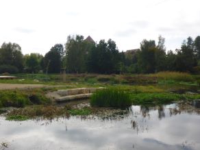 Blick auf ein Flussufer: Im Flachwasserbereich wachsen Wasserpflanzen und Schilf. Am Ufer dahinter ermöglicht eine Sitzmauer aus Natursteinen das Sitzen am Wasser. Im Hintergrund eine Flussschleife. Blick auf ein Flussufer: Im Flachwasserbereich wachsen Wasserpflanzen und Schilf. Am Ufer dahinter ermöglicht eine Sitzmauer aus Natursteinen das Sitzen am Wasser. Im Hintergrund eine Flussschleife.