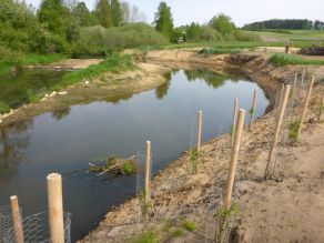 Am Prallufer einer neuen Flussschleife wurden zahlreiche Gehölze gepflanzt. Ein Holzpflock mit Hasendraht schützt die jungen Gehölze vor Verbiss. Am Prallufer einer neuen Flussschleife wurden zahlreiche Gehölze gepflanzt. Ein Holzpflock mit Hasendraht schützt die jungen Gehölze vor Verbiss.