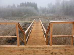 Blick von einer Holzplattform auf einen Steg aus Holz der durch einen Röhrichtbereich zu einem Gehweg führt. Im Hintergrund eine Auenlandschaft im winterlichen Nebel. Blick von einer Holzplattform auf einen Steg aus Holz der durch einen Röhrichtbereich zu einem Gehweg führt. Im Hintergrund eine Auenlandschaft im winterlichen Nebel.