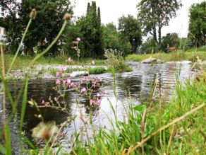 Ein Bach mit kiesigen, teilweise grasbewachsenen Flachufern. Im Hintergrund blickt eine Person auf einer Holzbank sitzend auf den Bach. Ein Bach mit kiesigen, teilweise grasbewachsenen Flachufern. Im Hintergrund blickt eine Person auf einer Holzbank sitzend auf den Bach.