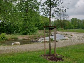 Ein frisch gepflanzter Hochstamm, verankert mit drei Holzpflöcken, steht nahe dem neugestalteten Ufer des Seitenarms. Im Hintergrund vereinzelte Sitzgelegenheiten aus Stein am flachen Kiesufer. Ein frisch gepflanzter Hochstamm, verankert mit drei Holzpflöcken, steht nahe dem neugestalteten Ufer des Seitenarms. Im Hintergrund vereinzelte Sitzgelegenheiten aus Stein am flachen Kiesufer.