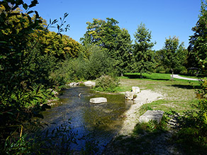 Ein ruhiger Abschnitt eines renaturierten Bachs mit klarem Wasser, umgeben von Bäumen und Sträuchern. Am abgeflachten Ufer liegen große Steine. Im Hintergrund eine Grünfläche mit Wiese, einzelnen Bäumen und einem Weg. Ein ruhiger Abschnitt eines renaturierten Bachs mit klarem Wasser, umgeben von Bäumen und Sträuchern. Am abgeflachten Ufer liegen große Steine. Im Hintergrund eine Grünfläche mit Wiese, einzelnen Bäumen und einem Weg.