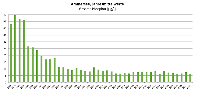 Konzentration von Gesamt-Phosphor im Jahresmittel im Ammersee im Zeitraum von 1975 bis 2020. Die Phosphorkonzentration 1975 ist über die Jahre deutlich gesunken von 43 Mikrogramm pro Liter auf 7 Mikrogramm pro Liter im Jahr 2021.