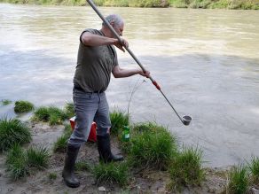 Mitarbeiter der Wasserwirtschaftsverwaltung bei der Entnahme einer Wasserprobe an der Salzach. In den Händen hält er einen Probenschöpfer an einem langen Stiel.