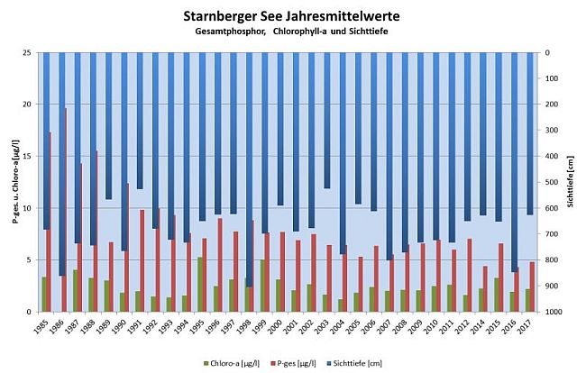 Darstellung des Zusammenhangs zwischen geringen Phosphorgehalten, geringen Chlorophyll-a-Werten als Maß für die Algenmenge und hohen Sichttiefen für einen nährstoffarmen See wie den Starnberger See