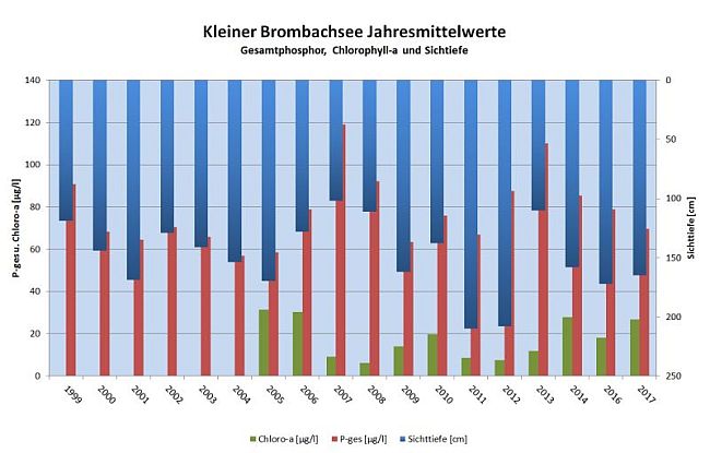 Darstellung des Zusammenhangs zwischen hohen Phosphorgehalten, hohen Chlorophyll-a-Werten als Maß für die Algenmenge und geringen Sichttiefen für einen nährstoffreichen See wie den Kleinen Brombachsee