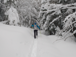 Ein Skitourengeher stapft durch den tiefen Schnee. Die Bäume sind tief verschneit.