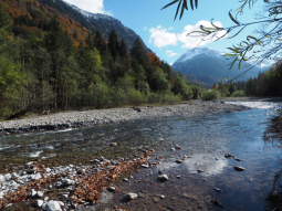 Die Trettach in den Alpen.