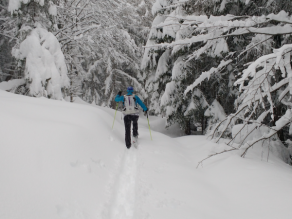 Ein Skitourengeher stapft durch den tiefen Schnee. Die Bäume sind tief verschneit.