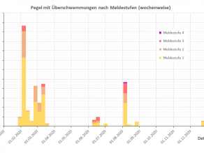 In der Grafik ist zu sehen, dass Überschwemmungen, klassifiziert durch die Meldestufen 1 bis 4, nicht gleichmäßig über das Jahr verteilt sind. Eine erste Hochwasser-Periode gab es von Anfang Februar bis Mitte März, dabei traten Anfang Februar an über 100 Pegeln Wasserstände der Meldestufen 1 bis 3 auf. Mitte Juli ist ein kleineres Hochwasser erkennbar. Anfang August ist ein zweites größeres Hochwasser mit Überschwemmungen der Meldestufe 1 bis 3 an etwa 50 Pegeln, und an einem Pegel auch Meldestufe 4, zu sehen. Im April und Mai sowie von September bis Mitte Dezember traten keine Überschwemmungen auf.