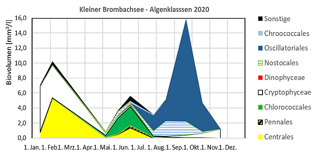 Gestapelte Flächengrafik mit den Biovolumina der verschiedenen Algenklassen der in 2020 im Kleinen Brombachsee untersuchten Phytoplanktonproben. Auffällige Entwicklungen werden im Text beschrieben.