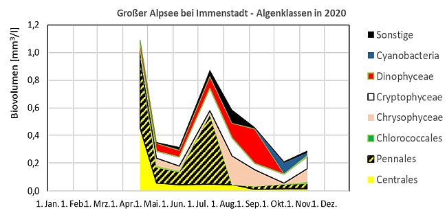 Gestapelte Flächengrafik mit den Biovolumina der verschiedenen Algenklassen der in 2020 im Großen Alpsee untersuchten Phytoplanktonproben. Auffällige Entwicklungen werden im Text beschrieben.