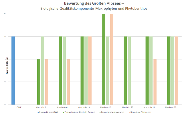 Säulengrafik mit den Bewertungsergebnissen 2020 für die EG-WRRL relevanten Untersuchungsabschnitte im Großen Alpsee sowie der Bewertung für den Wasserkörper. Die Ergebnisse werden im Text erläutert.