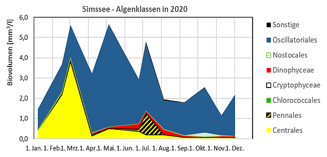 Gestapelte Flächengrafik mit den Biovolumina der verschiedenen Algenklassen der in 2020 im Simssee untersuchten Phytoplanktonproben. Auffällige Entwicklungen werden im Text beschrieben.