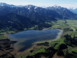 Luftaufnahme des Bannwaldsees.