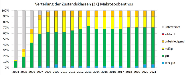 Grafik zu den Zustandsklassen (ZK) der Qualitätskomponente Makrozoobenthos an den Überblicksmessstellen (insgesamt 37) in den Jahren 2004 bis 2021. Weitere Erläuterung im nachstehenden Text.