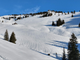 Durch Wassereintrag werden hangabwärts verlaufende Rillen in der Schneedecke ausgebildet.