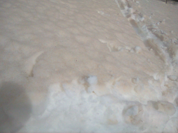 Nahaufnahme der Schneeoberfläche mit ockerfarbenem Saharastaub. In der Skispur sieht man das Weiß des aufgeweichten, feuchten Schnees.