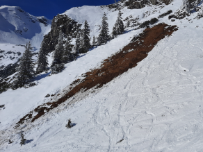 Glatter Grasuntergrund, Hangneigung größer 30 Grad und eine durchfeuchtete Schneedecke sind die Voraussetzung für Gleitschneelawinen. Bergfichten unterschiedlichen Alters rahmen die steile, grasbewachsene Hangpartie ab. Im Vordergrund sind Skispuren von Freeridern zu sehen, das sind Skifahrer, die außerhalb überwachter Skiabfahrten abfahren.