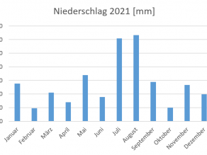 Balkendiagramm der Summe der Monatsniederschläge am Sylvensteinspeicher in Millimeter für das Jahr 2021. Im Vergleich zum Vorjahr fallen hier die Niederschläge etwas intensiver aus.
