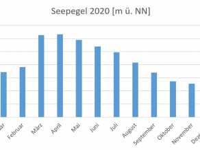 Balkendiagramm der mittleren monatlichen Seehöhen der Trinkwassertalsperre Mauthaus für das Jahr 2020 in Meter über Normal Null. Zu erkennen ist der stark fallende Seewasserstand gegen Ende des Jahres 2020.