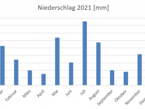 Balkendiagramm der Summen der Monatsniederschläge an der Trinkwassertalsperre Mauthaus für das Jahr 2021 in Millimeter. Im Gegensatz zum Jahr 2020 ist eine Steigerung des Niederschlages zu erkennen.