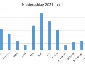 Balkendiagramm der Summen der Monatsniederschläge am Großen Brombachsee in Millimeter für das Jahr 2021. Zu erkennen sind die stärkeren Sommerniederschläge im Vergleich zum Vorjahr.